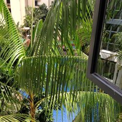 East Meadows (D16), Condominium #467740641